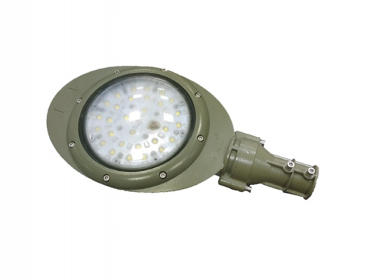 China Factory for Led Flameproof Light - BAD63-A series Explosion-proof high-efficiency energy-saving LED lamp (platform light) – Feice